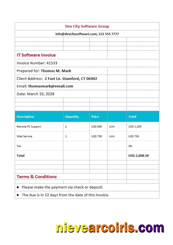 IT Software Invoice